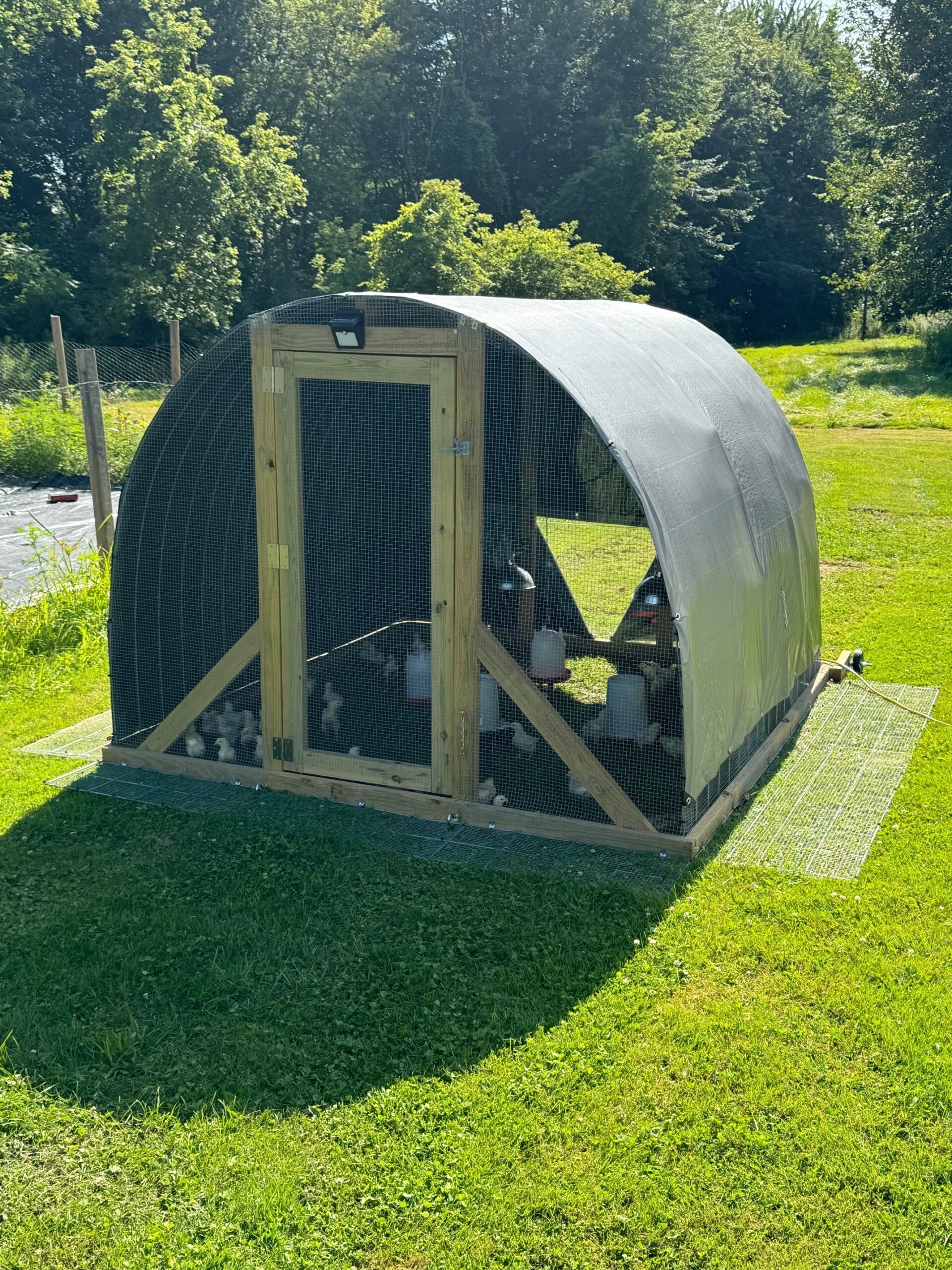 Chicken Tractor Build